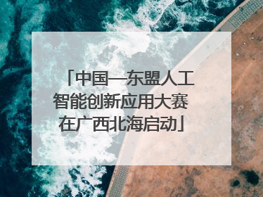 中国—东盟人工智能创新应用大赛在广西北海启动