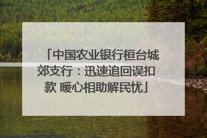 中国农业银行桓台城郊支行：迅速追回误扣款 暖心相助解民忧
