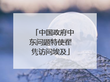 中国政府中东问题特使翟隽访问埃及