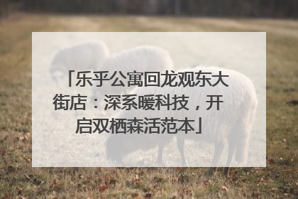 乐乎公寓回龙观东大街店：深系暖科技，开启双栖森活范本