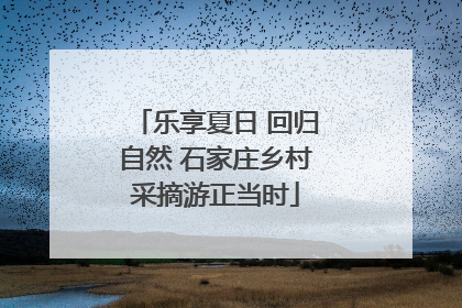 乐享夏日 回归自然 石家庄乡村采摘游正当时