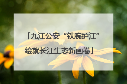 九江公安“铁腕护江”绘就长江生态新画卷