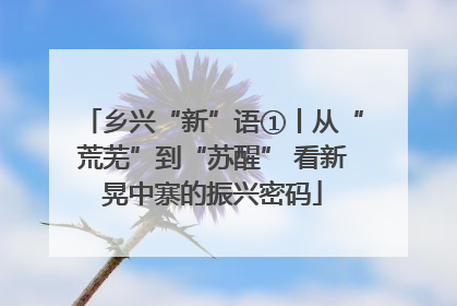 乡兴“新”语①丨从“荒芜”到“苏醒” 看新晃中寨的振兴密码