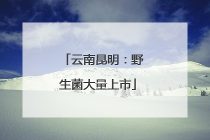 云南昆明：野生菌大量上市