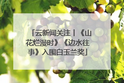 云新闻关注丨《山花烂漫时》《边水往事》入围白玉兰奖