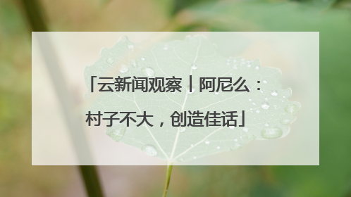 云新闻观察︱阿尼么：村子不大，创造佳话