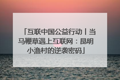 互联中国公益行动丨当马鞭草遇上互联网：昆明小渔村的逆袭密码