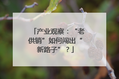 产业观察：“老供销”如何闯出“新路子”？
