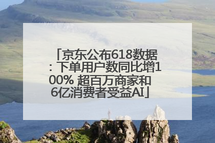 京东公布618数据：下单用户数同比增100% 超百万商家和6亿消费者受益AI