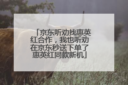 京东听劝找惠英红合作，我也听劝在京东秒送下单了惠英红同款新机