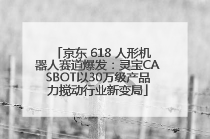 京东 618 人形机器人赛道爆发：灵宝CASBOT以30万级产品力搅动行业新变局