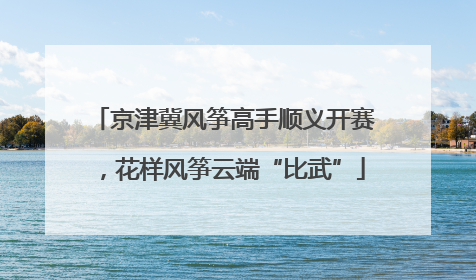 京津冀风筝高手顺义开赛，花样风筝云端“比武”