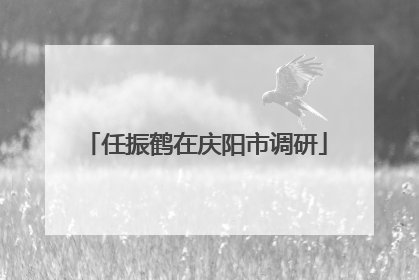 任振鹤在庆阳市调研