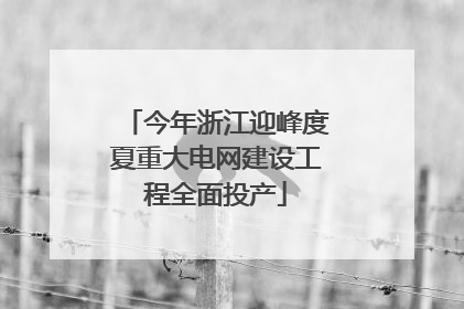 今年浙江迎峰度夏重大电网建设工程全面投产