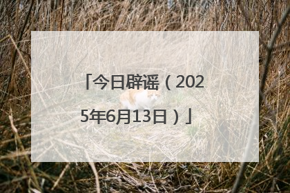 今日辟谣（2025年6月13日）