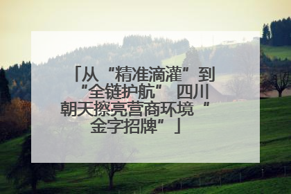 从“精准滴灌”到“全链护航” 四川朝天擦亮营商环境“金字招牌”