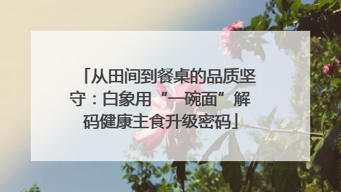 从田间到餐桌的品质坚守：白象用“一碗面”解码健康主食升级密码