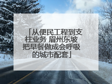 从便民工程到支柱业务 眉州东坡把早餐做成会呼吸的城市配套