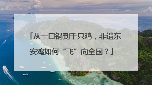 从一口锅到千只鸡，非遗东安鸡如何“飞”向全国？