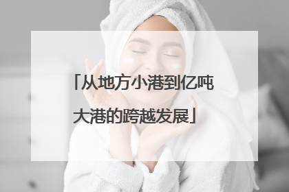 从地方小港到亿吨大港的跨越发展