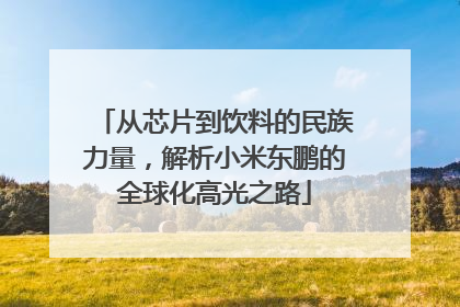 从芯片到饮料的民族力量，解析小米东鹏的全球化高光之路