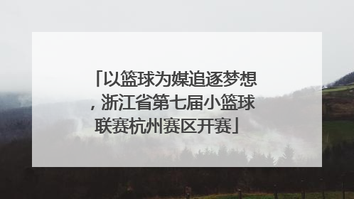 以篮球为媒追逐梦想，浙江省第七届小篮球联赛杭州赛区开赛