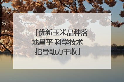 优新玉米品种落地昌平 科学技术指导助力丰收