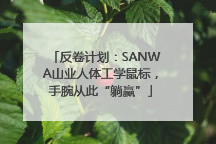 反卷计划：SANWA山业人体工学鼠标，手腕从此“躺赢”