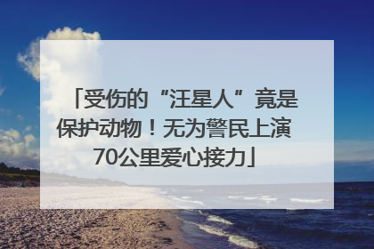 受伤的“汪星人”竟是保护动物！无为警民上演70公里爱心接力