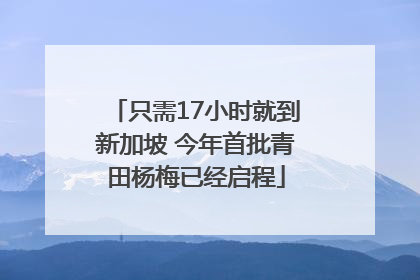 只需17小时就到新加坡 今年首批青田杨梅已经启程