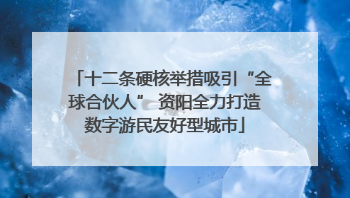 十二条硬核举措吸引“全球合伙人” 资阳全力打造数字游民友好型城市