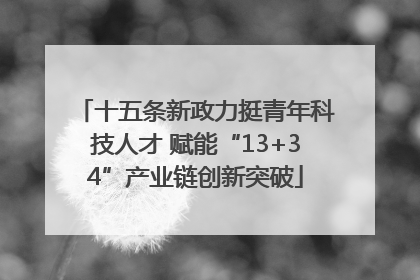 十五条新政力挺青年科技人才 赋能“13+34”产业链创新突破