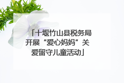 十堰竹山县税务局开展“爱心妈妈”关爱留守儿童活动