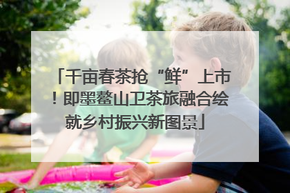 千亩春茶抢“鲜”上市！即墨鳌山卫茶旅融合绘就乡村振兴新图景