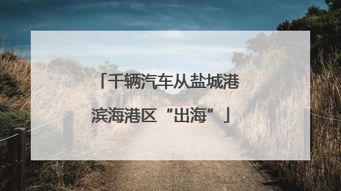 千辆汽车从盐城港滨海港区“出海”