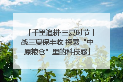 千里追耕·三夏时节丨战三夏保丰收 探索“中原粮仓”里的科技感