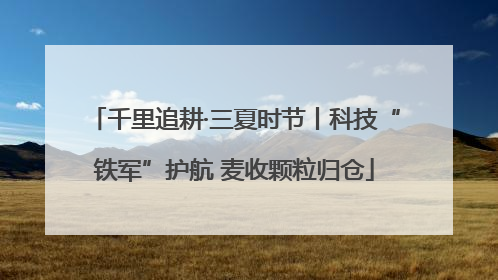 千里追耕·三夏时节丨科技“铁军”护航 麦收颗粒归仓