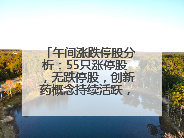 午间涨跌停股分析：55只涨停股，无跌停股，创新药概念持续活跃，昂利康6天4板，众生药业2连板