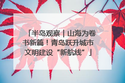 半岛观察｜山海为卷书新篇！青岛跃升城市文明建设“新航线”