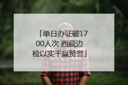 单日办证破1700人次 西藏边检以实干赢赞誉