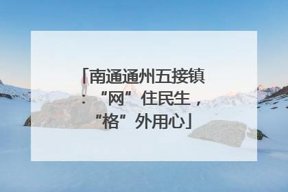 南通通州五接镇：“网”住民生，“格”外用心