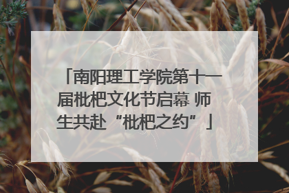 南阳理工学院第十一届枇杷文化节启幕 师生共赴“枇杷之约”