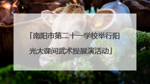 南阳市第二十一学校举行阳光大课间武术操展演活动