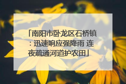 南阳市卧龙区石桥镇：迅速响应强降雨 连夜疏通河道护农田