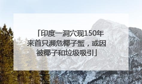 印度一洞穴现150年来首只濒危椰子蟹，或因被椰子和垃圾吸引