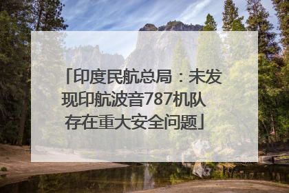 印度民航总局：未发现印航波音787机队存在重大安全问题