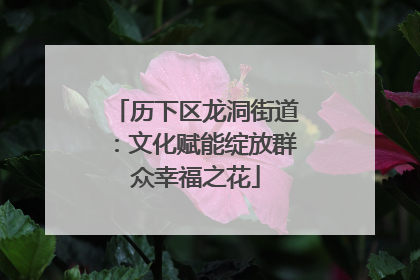 历下区龙洞街道：文化赋能绽放群众幸福之花