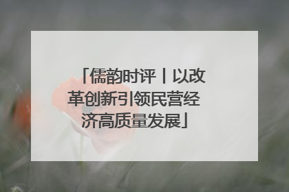 儒韵时评丨以改革创新引领民营经济高质量发展
