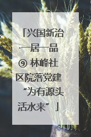 兴国新治·一居一品⑨ 林峰社区院落党建“为有源头活水来”