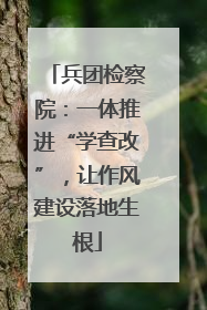 兵团检察院：一体推进“学查改”，让作风建设落地生根
